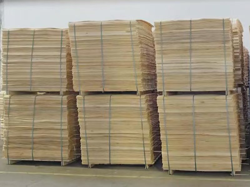 veneer gỗ sau khi sấy khô